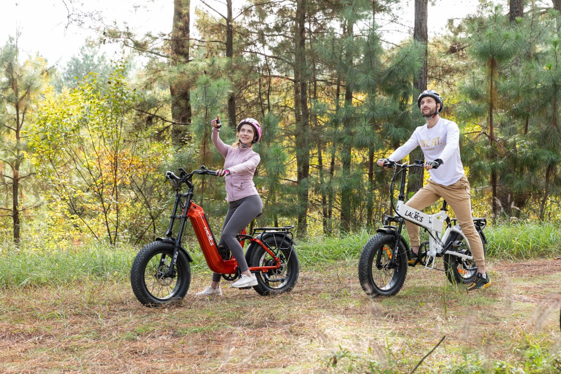 The Best Choice For Family:  Step-Through Ebike
