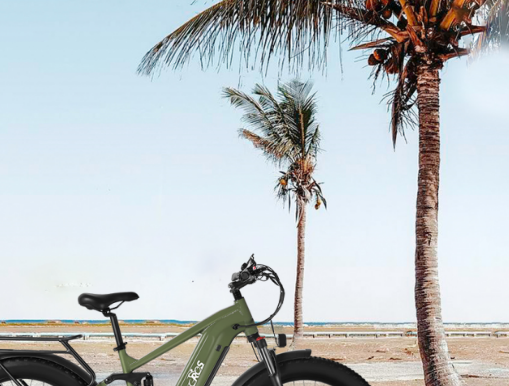 Do I Need an E-Bike with Throttle?