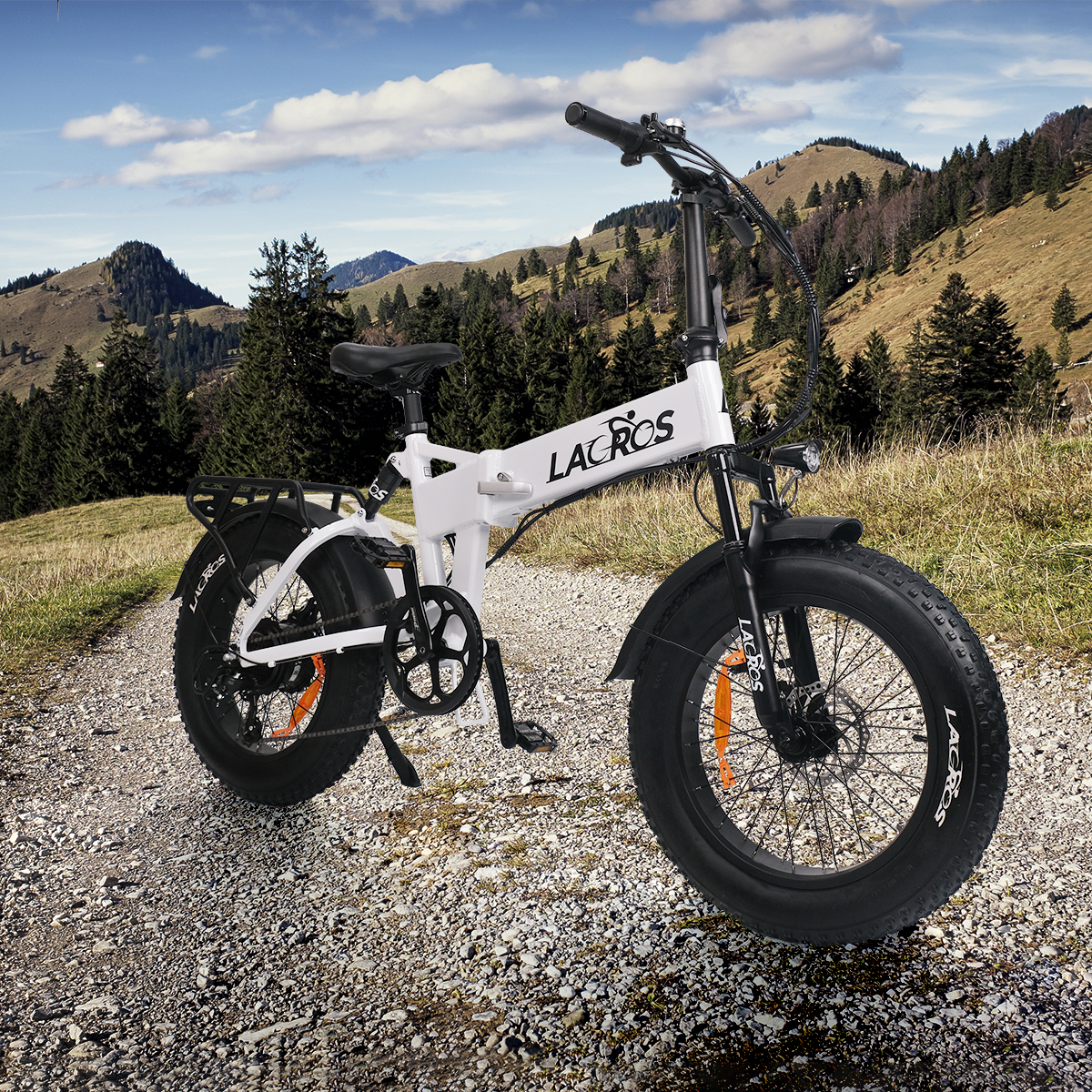 E-Bike with Passenger Seat: The Ultimate Guide