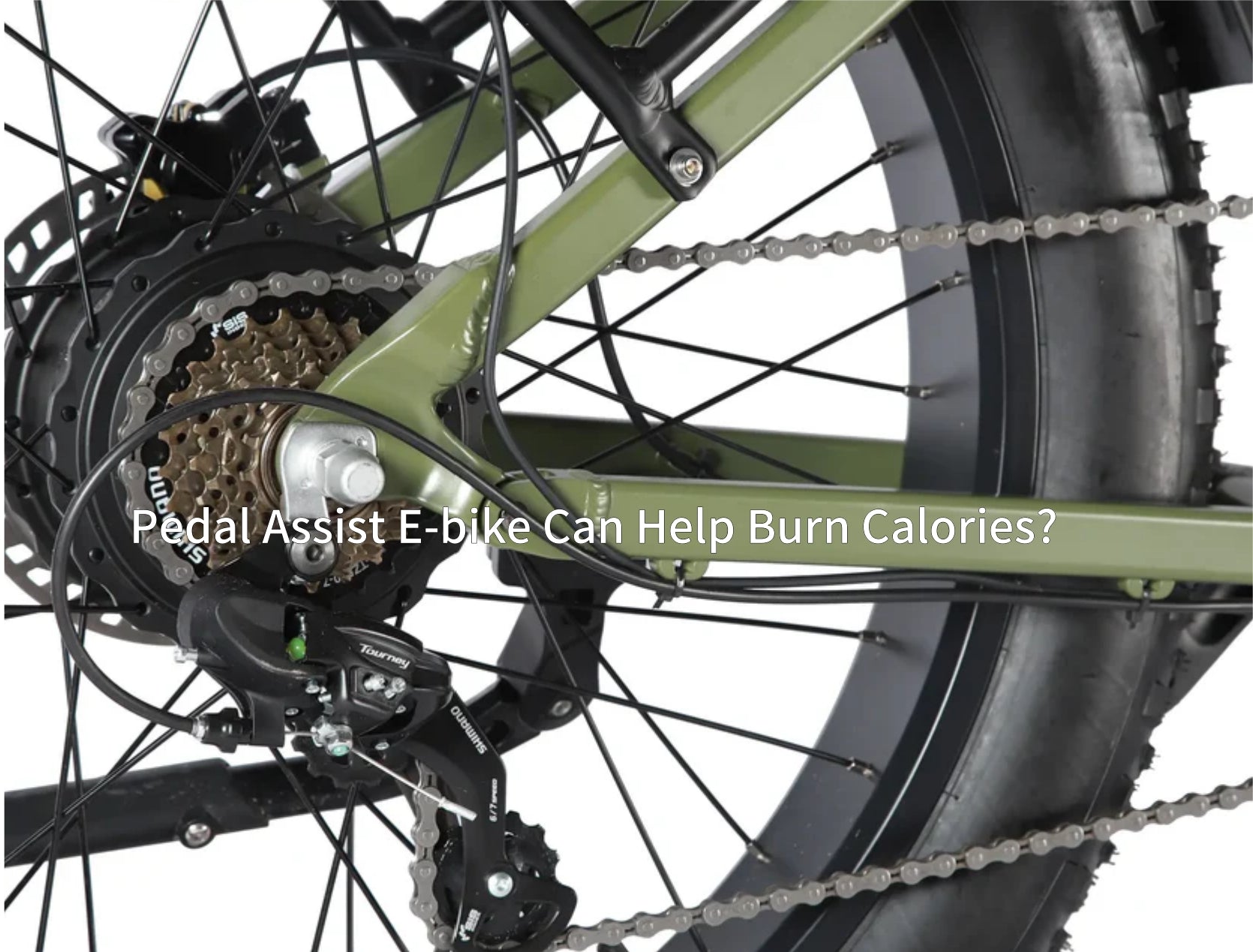 Pedal Assist E-bike Can Help Burn Calories?