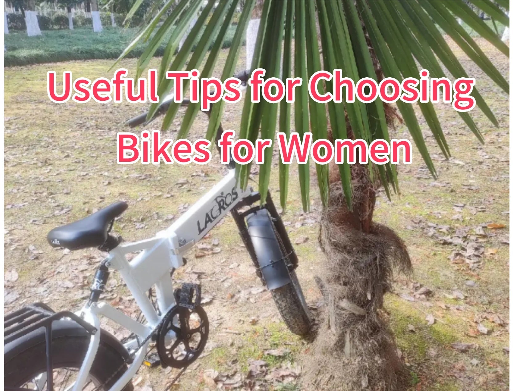 Useful Tips for Choosing Bikes for Women