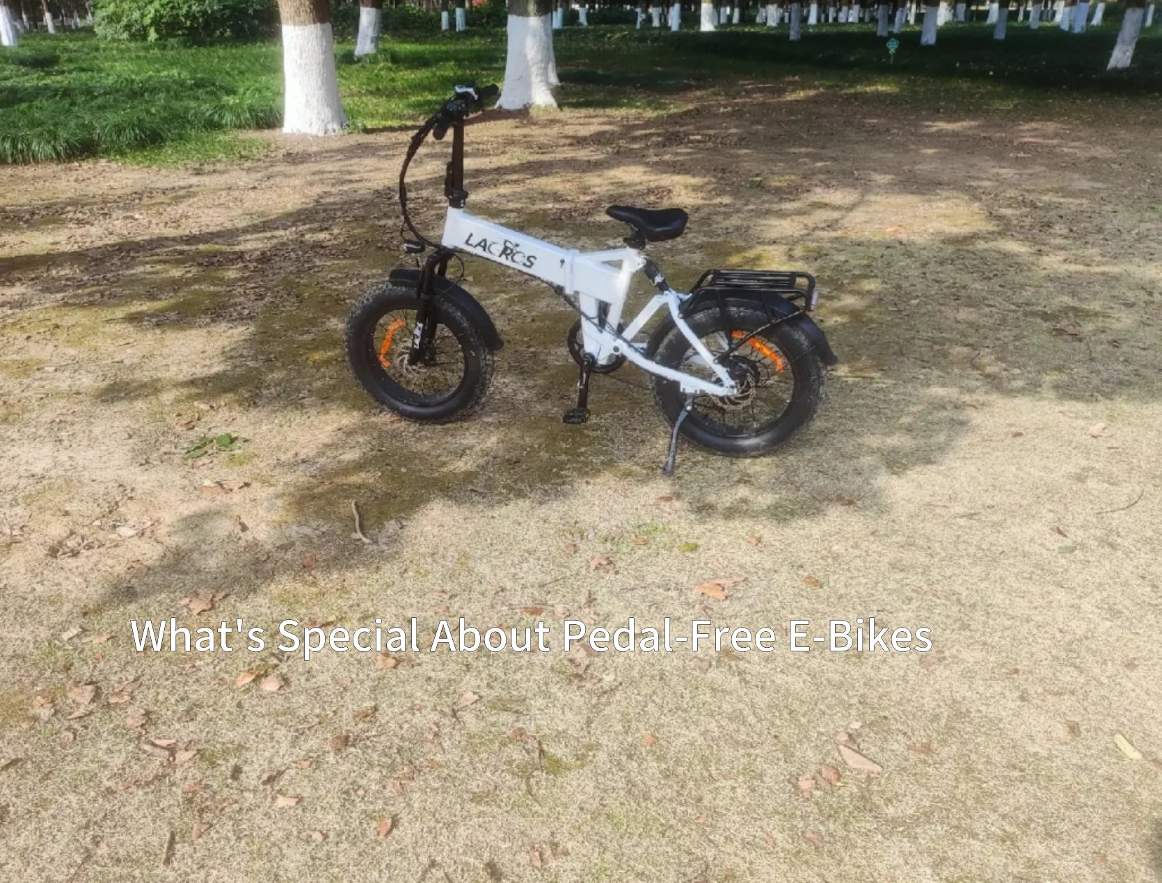 What's Special About Pedal-Free E-Bikes? - Lacros E-Bike