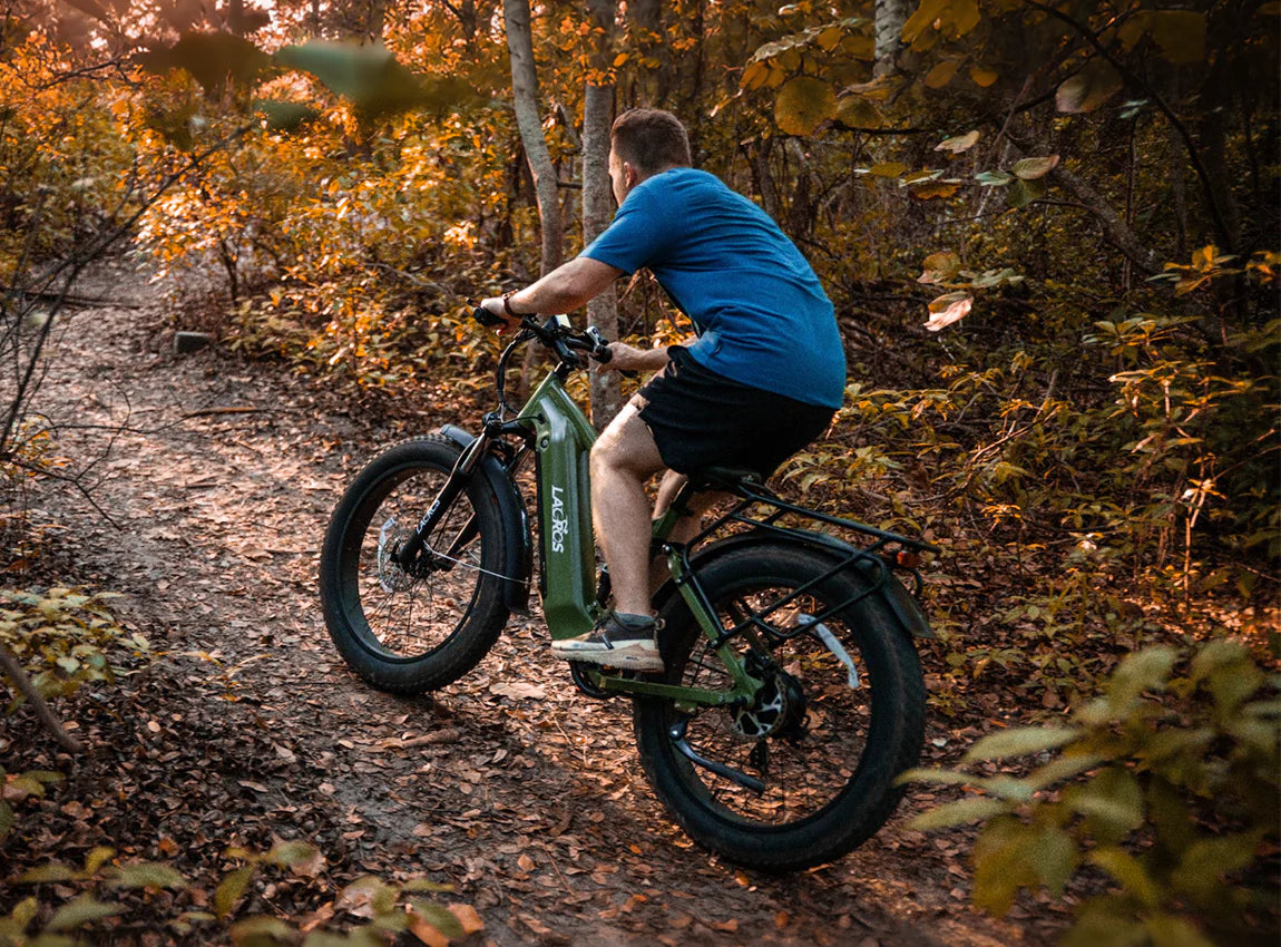 electric bikes automatic