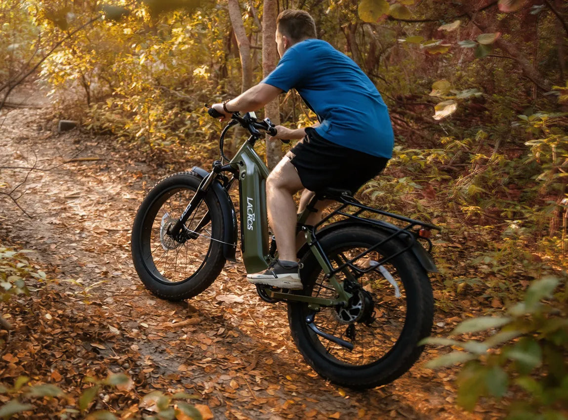 electric bicycle uphill Amyet SE1 Foldable Bike for Adults 1000W Peak Motor, 48V 15AH (720WH) Battery, 20" x3.0 Fat Tire Ebike 28mph 7 Speed Gears Commuter Electric How Electric Bikes Work on