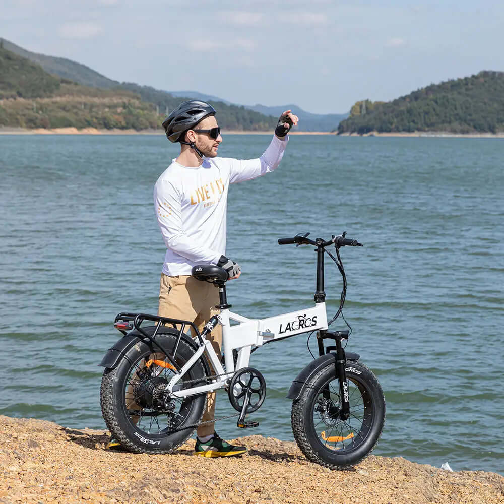 Pinecone Foldable Electric bike