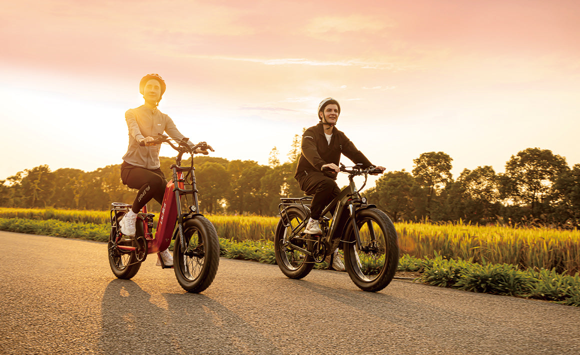 Mountain Electric Bike