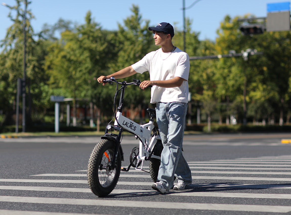 Lacros Pinecone vs Heybike Mars 3.0 — Professional Comparison