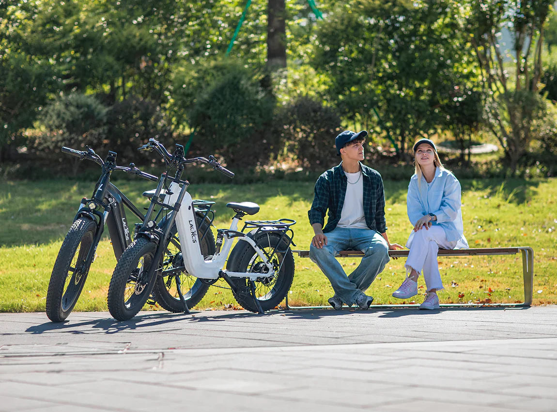 How Much Does an E-Bike Battery Cost? – Lacros E-Bike