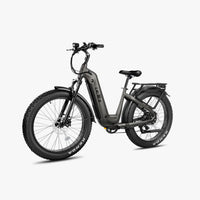 ###Kruiserstepthroughebikegrey