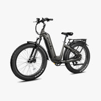 ###Kruiserstepthroughebikegrey