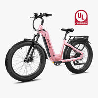###Kruiserstepthroughebikerose