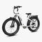 ###Kruiserstepthroughebikewhite