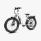 ###Kruiserstepthroughebikewhite