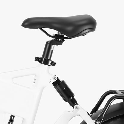 Pinecone Bike seat and suspension fork 