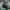 ###best electric mtb  green