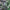###best electric mtb  green