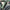 ###best electric mtb  green