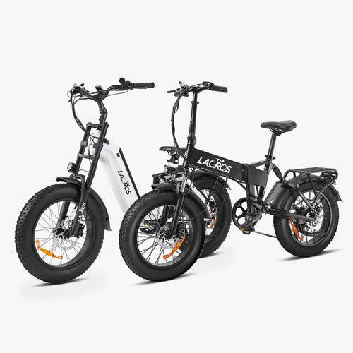 Combo Sale Cyclone2026 + Pinecone