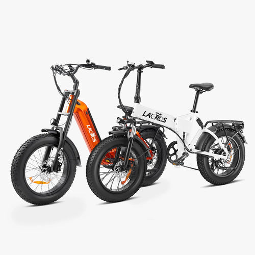 Combo Sale Cyclone2026 + Pinecone