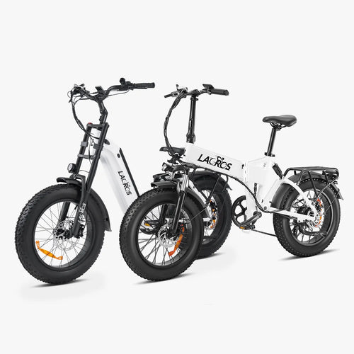 Combo Sale Cyclone2026 + Pinecone