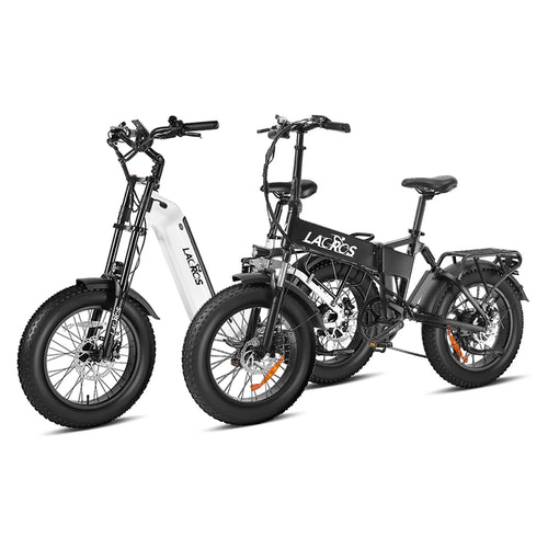 Combo Sale Cyclone + Pinecone