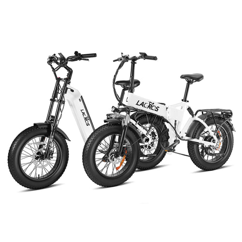 Combo Sale Cyclone + Pinecone